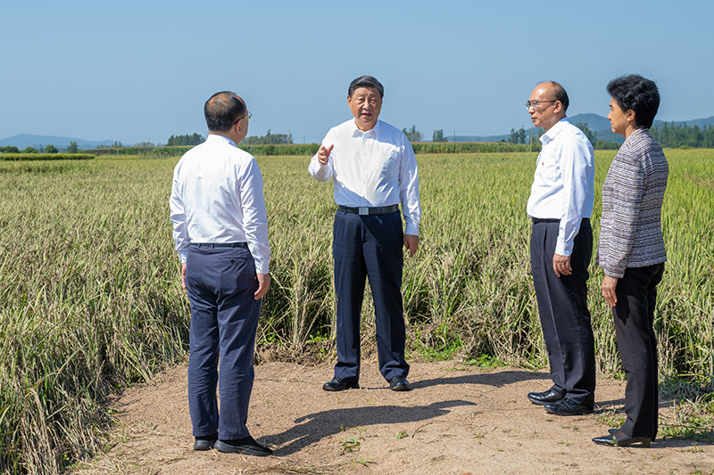 习近平在黑龙江考察时强调 牢牢把握在国家发展大局中的战略定位 奋力开创黑龙江高质量发展新局面 蔡奇陪同考察 习近平在黑龙江考察时强调 牢牢把握在国家发展大局中的战略定位 奋力开创黑龙江高质量发展新局面 蔡奇陪同考察