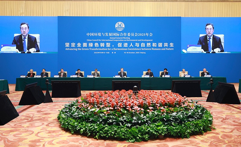 丁薛祥出席中国环境与发展国际合作委员会2025年年会并讲话